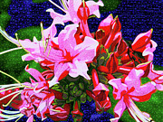 Early Morning Celebration Digital Art by Rod Whyte