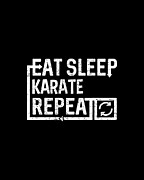 Eat Sleep Karate Digital Art by Flippin Sweet Gear