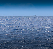 Edge of the World Photograph by Michael DeGrenier