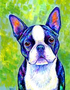 Effervescent - Colorful Boston Terrier Dog Painting by Rebecca Wang