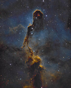 Elephant's Trunk Photograph by Bruce Feagle