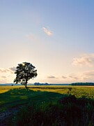 Embracing Nature's Awakening Photograph by Travel Essayist
