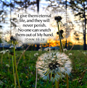 Eternal Life Photograph by Greg Lane