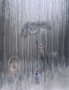 Ethereal Forest Photograph by Linda Ryma