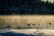 Evergreen Lake, Colorado - Lake Mist Photograph by Robert Niemeier