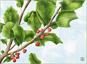 Holly Branch Art Print Hand-Drawn December Birth Flower and Christmas Botanical Illustration Digital Art by Snow Iris Studio