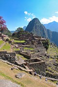 Exploring Machu Picchu Ancient Ruins in Sunlight Photograph by Travel Essayist