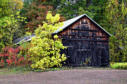 Fall Barn Photograph by Steven Nelson