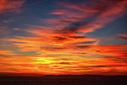 Fiery Sunset Over Catalina Island, Pacific Ocean, California Photograph by Abigail Diane Photography