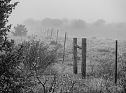 Fence and Fog in New Mexico Photograph by Mary Lee Dereske