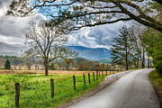 Fence and Trees in Cades Cove in Smoky Mountains Photograph by Jimmy Pappas