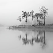 Fine Trees from the misty shore of Loch Ard Photograph by Grant Glendinning