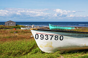 Fishing Boats on a Sunny Shoreline - Newfoundland, Canada Photograph by Tatiana Travelways