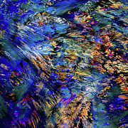 Flamboyant Photograph by Ursula Abresch