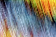 Fleeting Photograph by Jeff Sinon