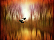 Flight of Fancy Photograph by Jessica Jenney