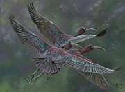 Flight Pattern Painting by Mark Ray