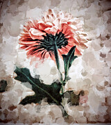 Floating Dahlia Photograph by Onedayoneimage Photography