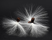 Sail Away Photograph by Joe Schofield