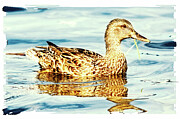 Floating Photograph by Tatiana Travelways