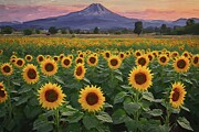 Sunflowers Oil Painting on Canvas Digital Art by Nature Oil Painting