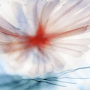 Flower Photograph by Ursula Abresch