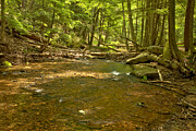 Flowing Along The Cathedral Natural Area Photograph by Adam Jewell