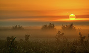 Foggy Coastal Plain Dawn #6885 Photograph by Dan Beauvais