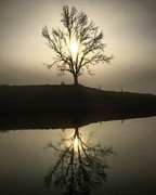 Foggy Reflections Photograph by Greg Lane