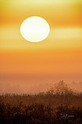 Foggy Sunrise 9564 Photograph by Dan Beauvais