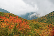 Foliage, Mountains, and Clouds #2019 Photograph by Dan Beauvais