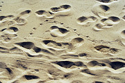 Footprint On The Beach Sand Texture Background Photograph by Severija Kirilovaite