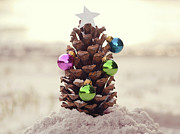 For All Creatures Great And Small Photograph by Laura Fasulo