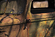 Ford Truck - Decaying - Forest Photograph by Robert Niemeier