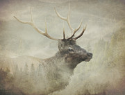 Forest Elk Textured Photograph by Dan Sproul