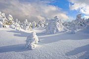 Rime and Shadow. Photograph by Jeff Sinon