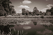 Frampton on Severn.  Village green and ponds. Photograph by Seeables Visual Arts