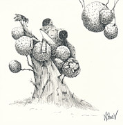 Said the Fly to the Frog Drawing by Marie Stone-van Vuuren