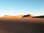 From Dune to Dune Photograph by Joe Schofield