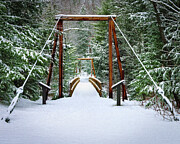 Winter Crossing at Lincoln Woods Photograph by NorthEast Creativity