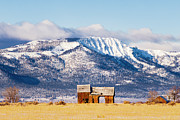 Frosty and Weathered - Old Barn and Snowy Mountain Photograph by Mike Lee