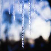 Frozen Figments Photograph by Rich Kovach