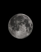 Full Moon Digital Art by Flippin Sweet Gear