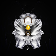 Future Flora II Mixed Media by Canessa Thomas