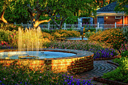 Garden Sunlight Photograph by Jeff Sinon