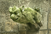 Gargoyle Photograph by Lisa Chorny