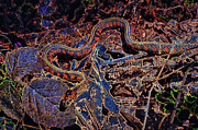 Garter Snake in the forest Digital Art by Bruce Block