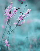 Gemini Twins Photograph by Gian Smith