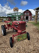 George the Tractor Photograph by Lloyd Gillies