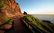 Giant's Causeway Cliff Path Photograph by Steven Nelson